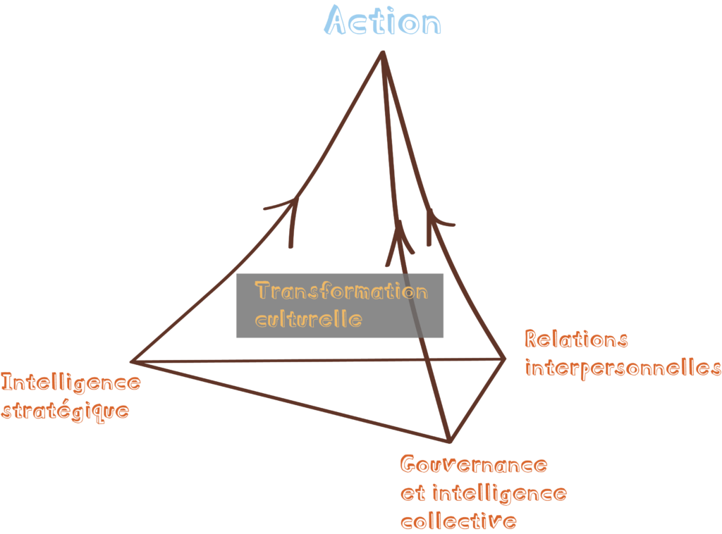 Schéma explicatif de la transformation culturelle pour la mise en action lors de l'accompagnement des entreprises et des individus par du Mouvement et des Hommes